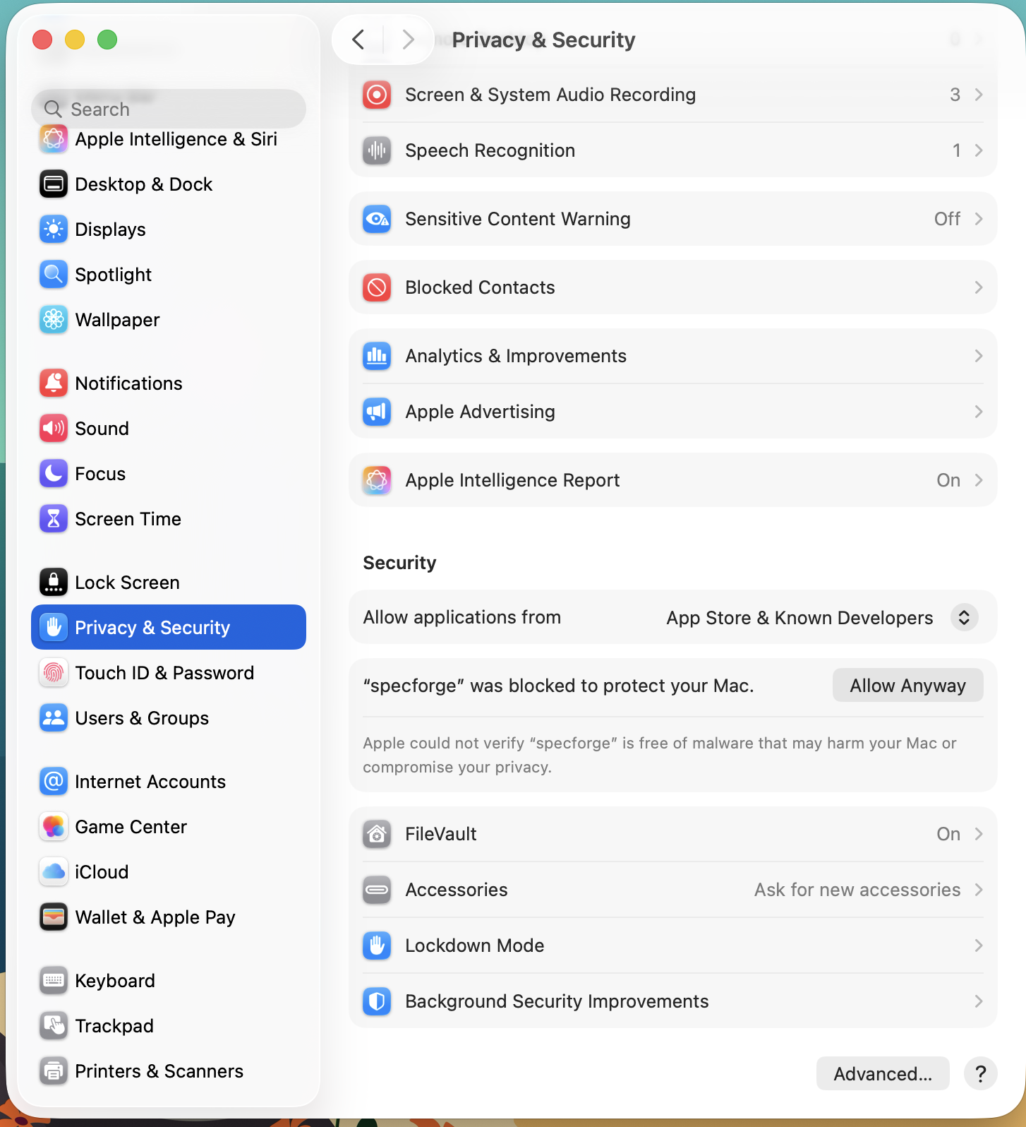 Click on 'Allow Anyway'